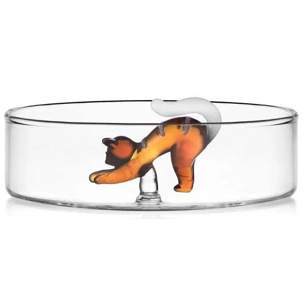 Caixa Tabby Cat Gato Ambar