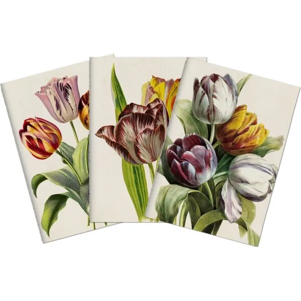 Livro de Notas A6 Conj 3 Tulipas Purpura